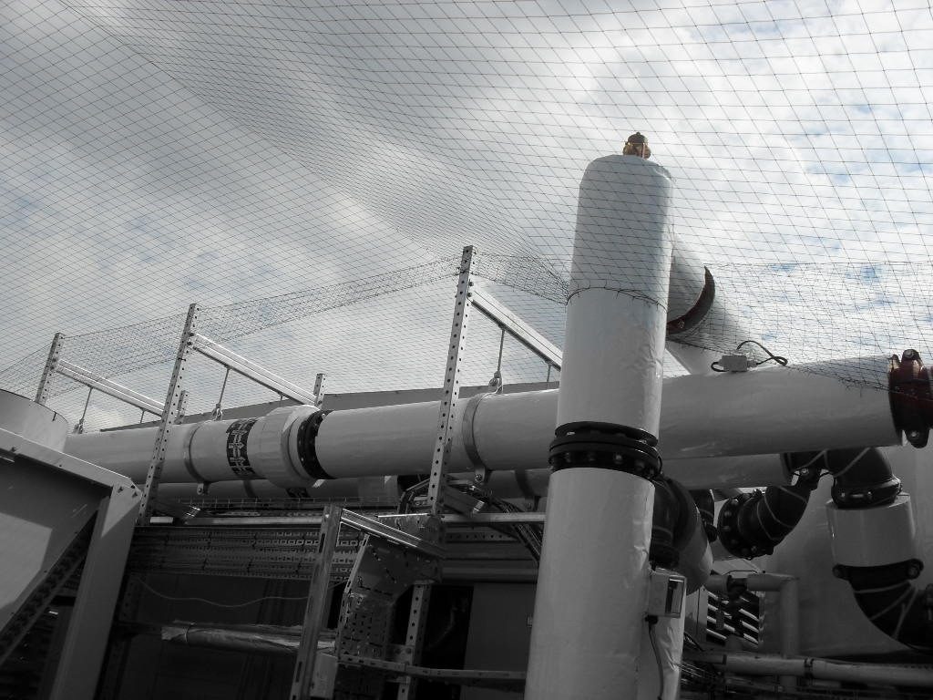 Bird Control in Portsmouth, Hampshire